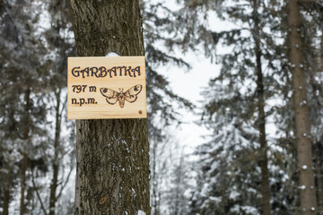 Peak of Garbatka moutain near to Sokolowsko, Poland