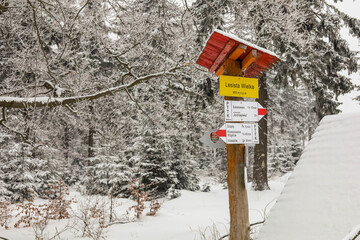 Peak of Lesista Wielka moutain near to Sokolowsko, Poland