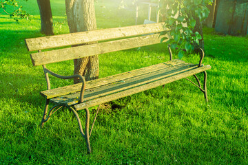 Wooden bench in the backyard garden.Summer garden shot.