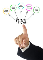 Success Factors in quality management system ( QMS)