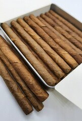 Close view of the cigarillos. Twisted tobacco leaves. 