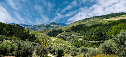 Vale do Douro