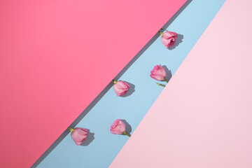 Creative romantic flat lay with pink roses on colorful pastel background. Minimal Valentine's Day concept.