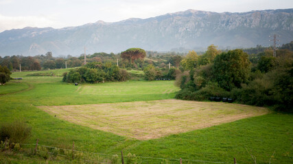 Campo de cultivo segado en forma de cuadrado en valle verde junto a cordillera montañosa