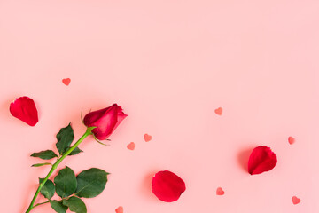 Top view of single beautiful red rose and petals on pastel pink background. Valentines day, wedding day, celebrate and anniversary concept. Flat lay with copy space