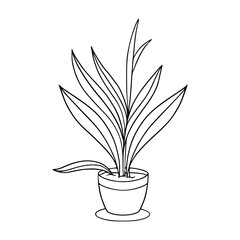 Doodle houseplant in pot. Vector hand drawn illustration with pattern and zentangle elements. Herbal icon isolated on white.