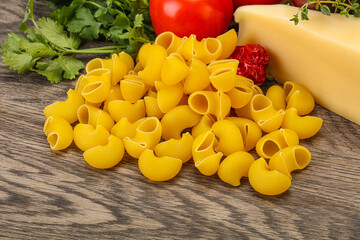 Italian pasta - raw pipe rigate