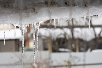 icicles hang from the roof