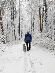 man walks with a dog in the woods in winter
