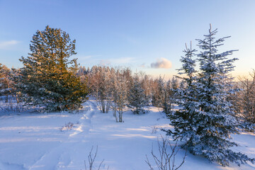Snowy Russian forest. The top of the mountain covered with snow and snow-covered conifers. Beautiful winter landscape.