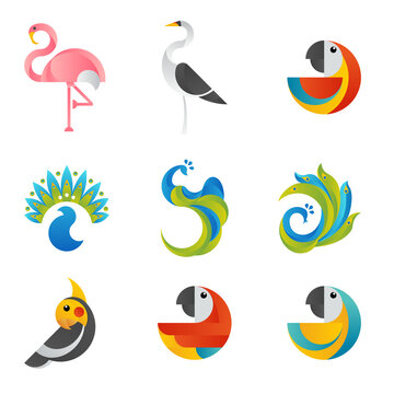 Collection of tropical birds, vector illustration.