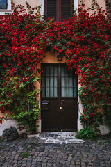 Door decorated with beautiful red flowers