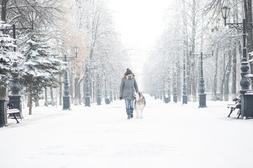 Fototapeta na wymiar European woman walking with Alaskan malamute dog in winter city. 