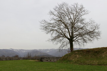 The park of the fortress of Mont'Alfonso with the snow-capped Apuan Alps in the background, in Castelnuovo di Garfagnana, Tuscany, Italy.