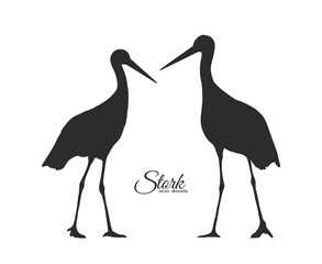 Vector Silhouette of couple Storks isolated on white background.