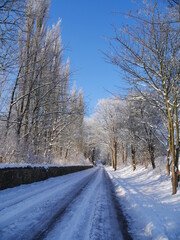 Obraz premium road in winter