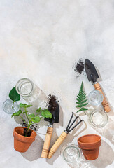 Obraz na płótnie Canvas Tools for repotting a plant at home. Gardening home.