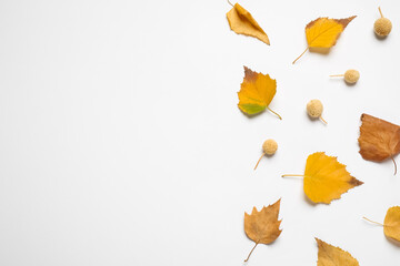 Naklejka premium Flat lay composition with autumn leaves and space for text on white background