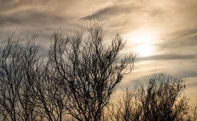 Obraz premium Beautiful nature image of lake near irkaya farm in Doha,Qatar