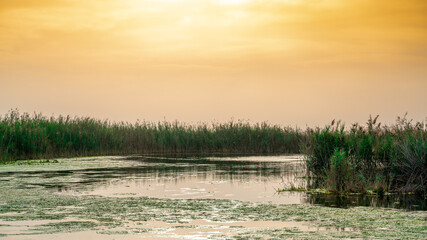 Beautiful nature image of lake near irkaya farm in Doha,Qatar