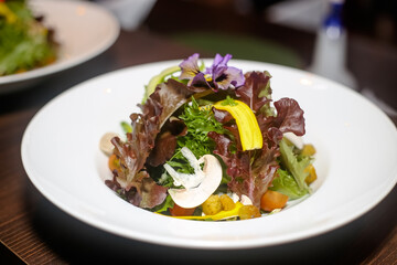 Pratos exóticos na serra da mantiqueira.