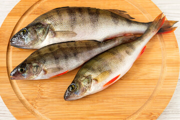 River fresh fish perch lies on a cutting kitchen board.