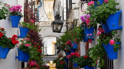 blumengeschmückte Gasse in Cordoba, Andalusien