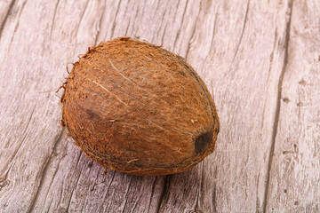 Tropical brown coconut over background