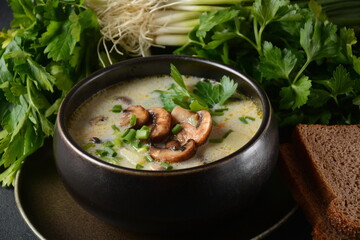 A bowl of Mushroom Cream Soup with fried champignons and fresh parsley. Winter, autumn hot soup concept