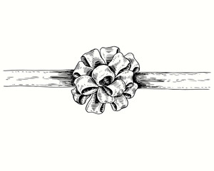 Hand drawn classic  pull bow with ribbon, top view. Ink black and white drawing. Vector illustration