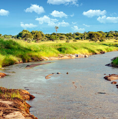 River in Africa