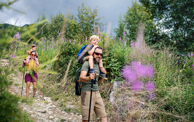 Family with small children hiking outdoors in summer nature, walking.