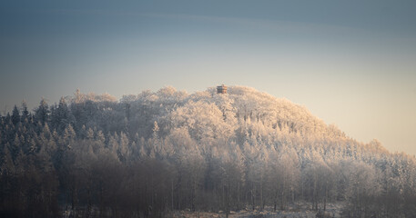 Fototapeta premium Winterlicher Wald im Sonnenuntergang