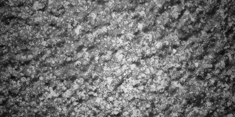 Fototapeta premium abstract grunge background bg art wallpaper texture stone concrete marble