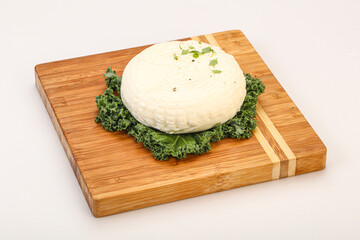 Caucasian suluguni round cheese piece