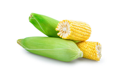 fresh corn on white background