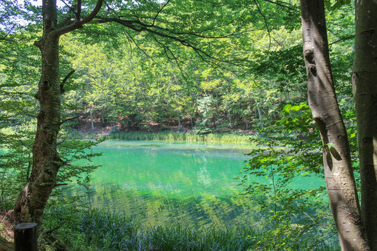 The source of the river Grza in Serbia