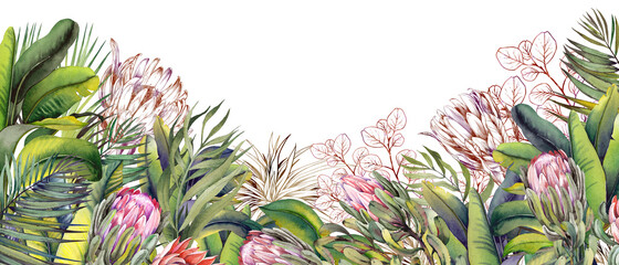 Floral border with exotic protea flowers and green tropical foliage. - obrazy, fototapety, plakaty