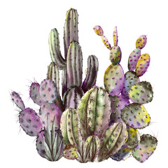 Cute succulents cactus card