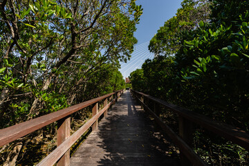 沖縄県・漫湖公園内の通路