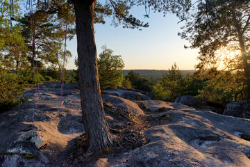 Swing in the Fontainebleau forest. Bombarde view	
