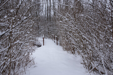 snow day on the hiking trail