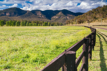 Fototapeta na wymiar Hunter Valley Landscape in Australia