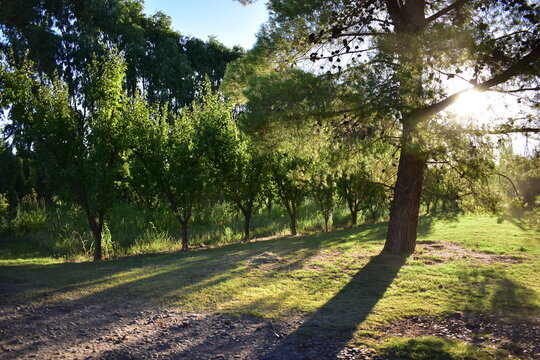 Atardecer en la tranquilidad de la chacra
