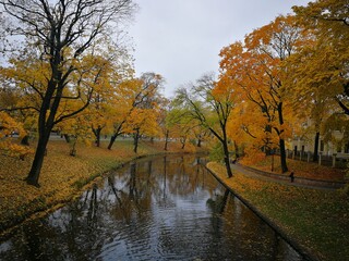 Fototapeta na wymiar Riga canal with yellow coloured trees on an autumn day.