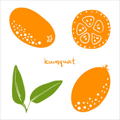 Kumquat. Whole and sliced, leaves. Colorful sketch collection of tropical fruits isolated on white background. Doodle hand drawn fruit icons. Vector illustration