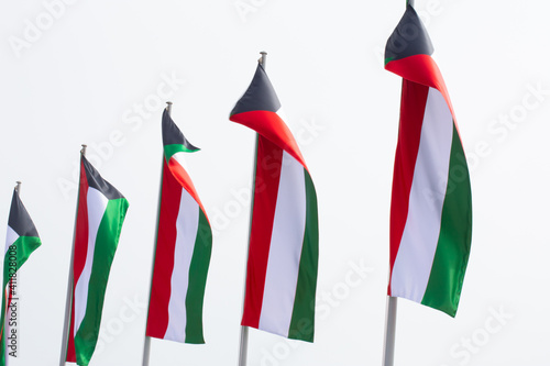 Multiple Kuwait national flags flying during the day at a event in Qatar