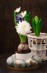  Easter Decoration with gray golden eggs, quail feathers, hyacinth daisy flowers on dark wooden background.