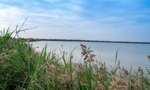 Beautiful nature image of lake near irkaya farm in Doha,Qatar © MSM