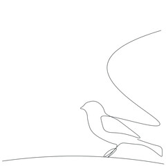 Bird drawing on white background, vector illustration